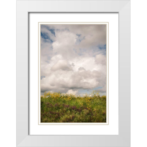 Blue Sky Vista 1 White Modern Wood Framed Art Print with Double Matting by Poinski, Dianne