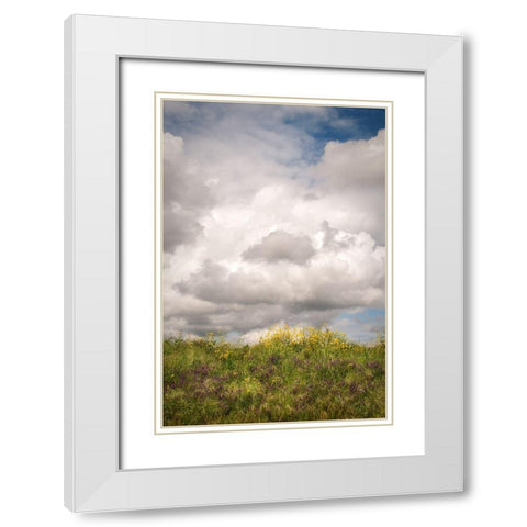 Blue Sky Vista 2 White Modern Wood Framed Art Print with Double Matting by Poinski, Dianne