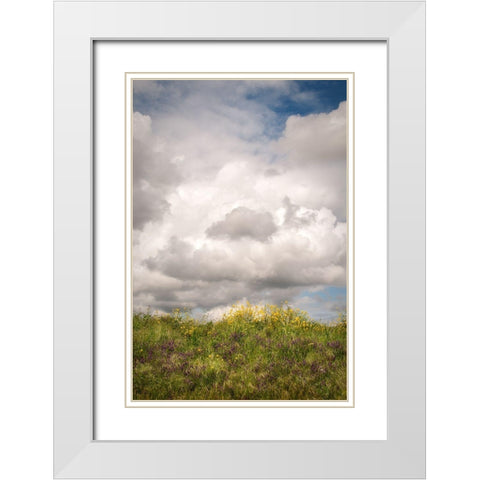 Blue Sky Vista 2 White Modern Wood Framed Art Print with Double Matting by Poinski, Dianne