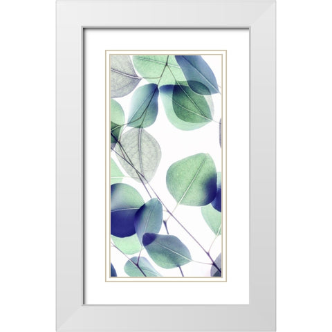 Vibrant Leaves 1 White Modern Wood Framed Art Print with Double Matting by Poinski, Dianne