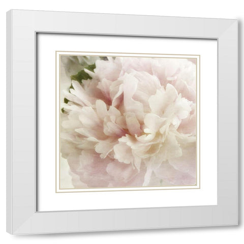 Peony 1 White Modern Wood Framed Art Print with Double Matting by Poinski, Dianne