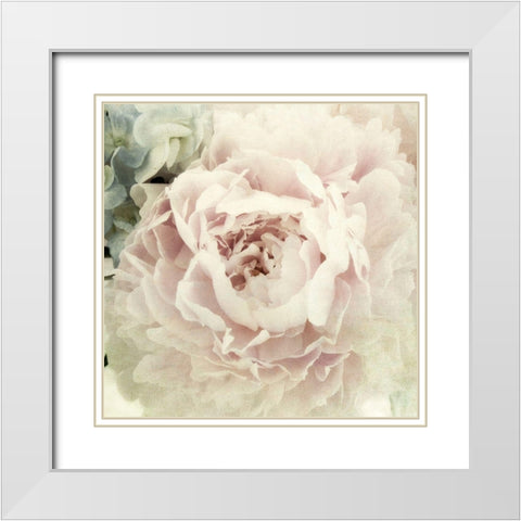 Peony 3 White Modern Wood Framed Art Print with Double Matting by Poinski, Dianne