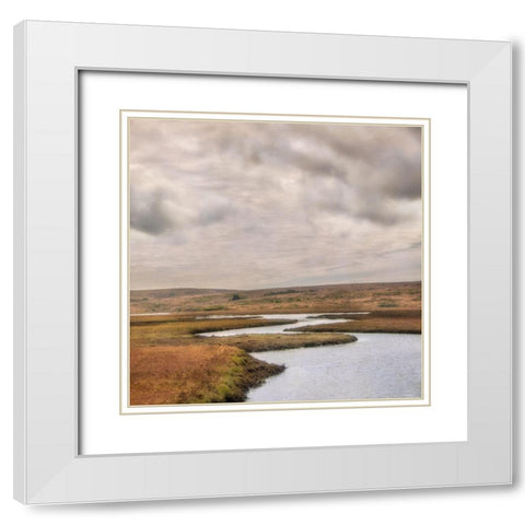 Estuary I White Modern Wood Framed Art Print with Double Matting by Poinski, Dianne