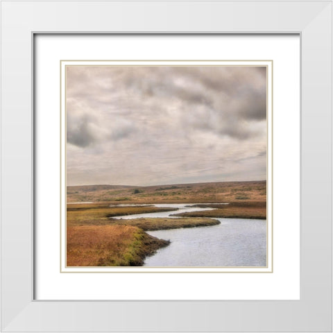 Estuary I White Modern Wood Framed Art Print with Double Matting by Poinski, Dianne