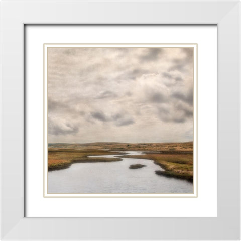 Estuary II White Modern Wood Framed Art Print with Double Matting by Poinski, Dianne