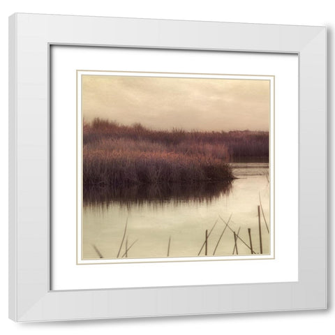 Wetlands Marsh 2 White Modern Wood Framed Art Print with Double Matting by Poinski, Dianne