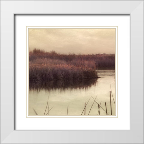 Wetlands Marsh 2 White Modern Wood Framed Art Print with Double Matting by Poinski, Dianne