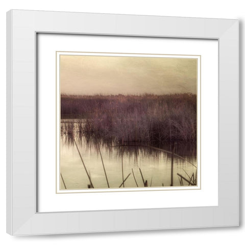Wetlands Marsh 3 White Modern Wood Framed Art Print with Double Matting by Poinski, Dianne