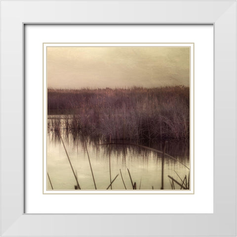 Wetlands Marsh 3 White Modern Wood Framed Art Print with Double Matting by Poinski, Dianne