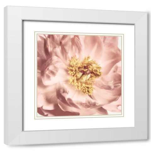 Burgundy Bloom 2 White Modern Wood Framed Art Print with Double Matting by Pearson, Debbie