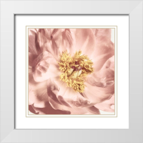 Burgundy Bloom 2 White Modern Wood Framed Art Print with Double Matting by Pearson, Debbie