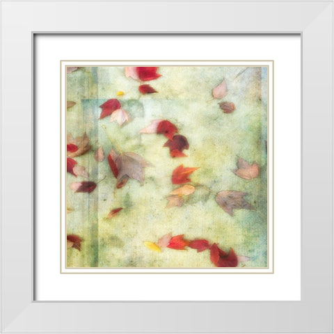 Fall Leaves 1 White Modern Wood Framed Art Print with Double Matting by Poinski, Dianne