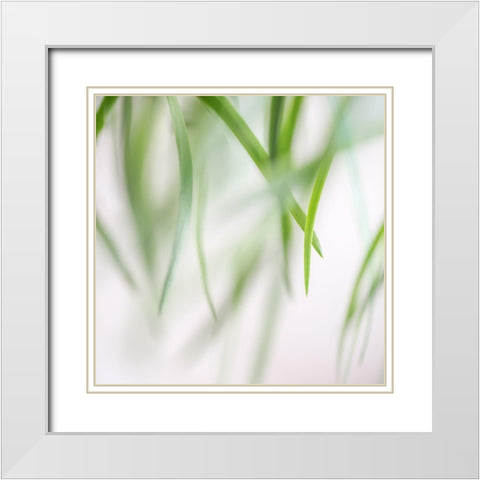 Green Leaves 2 White Modern Wood Framed Art Print with Double Matting by Poinski, Dianne