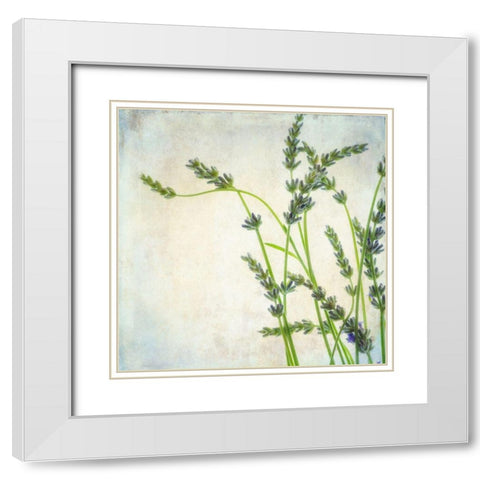 Lavender 2 White Modern Wood Framed Art Print with Double Matting by Poinski, Dianne