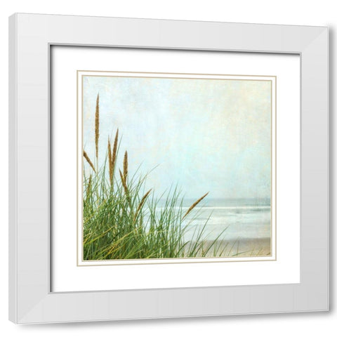 North Coast Dunes 1 White Modern Wood Framed Art Print with Double Matting by Poinski, Dianne