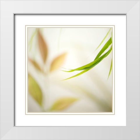 Warm Breeze 2 White Modern Wood Framed Art Print with Double Matting by Poinski, Dianne