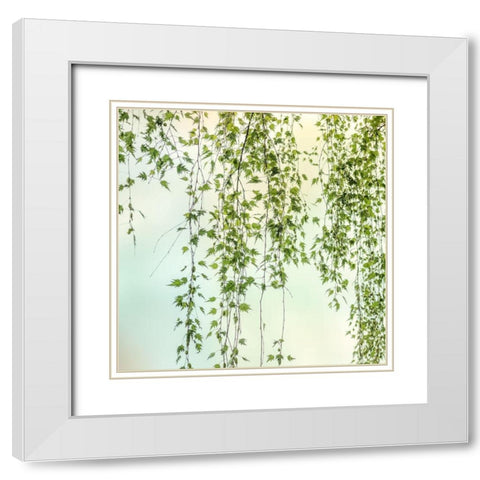 Whisper 2 White Modern Wood Framed Art Print with Double Matting by Poinski, Dianne