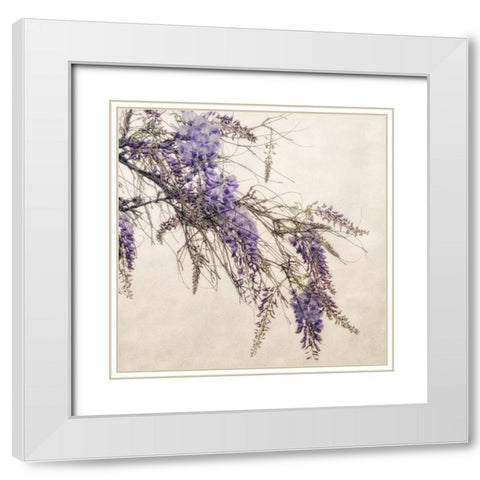 Wisteria White Modern Wood Framed Art Print with Double Matting by Poinski, Dianne