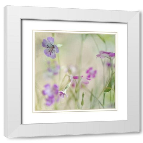Early Spring 1 White Modern Wood Framed Art Print with Double Matting by Poinski, Dianne