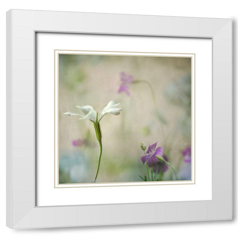 Early Spring 2 White Modern Wood Framed Art Print with Double Matting by Poinski, Dianne