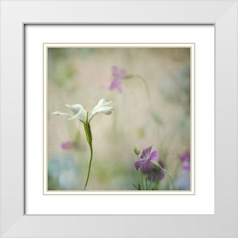Early Spring 2 White Modern Wood Framed Art Print with Double Matting by Poinski, Dianne