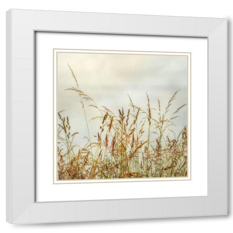 Bluff Grass 1 White Modern Wood Framed Art Print with Double Matting by Poinski, Dianne