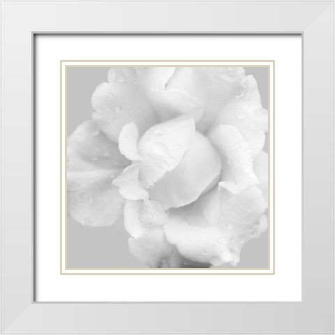 Beautiful Dreams 3 White Modern Wood Framed Art Print with Double Matting by Poinski, Dianne