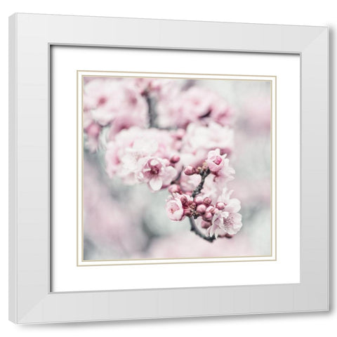 Pink Blossoms 1 White Modern Wood Framed Art Print with Double Matting by Poinski, Dianne
