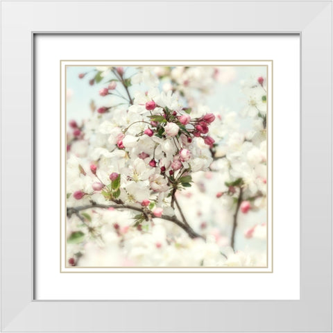 Pink Blossom 2 White Modern Wood Framed Art Print with Double Matting by Poinski, Dianne