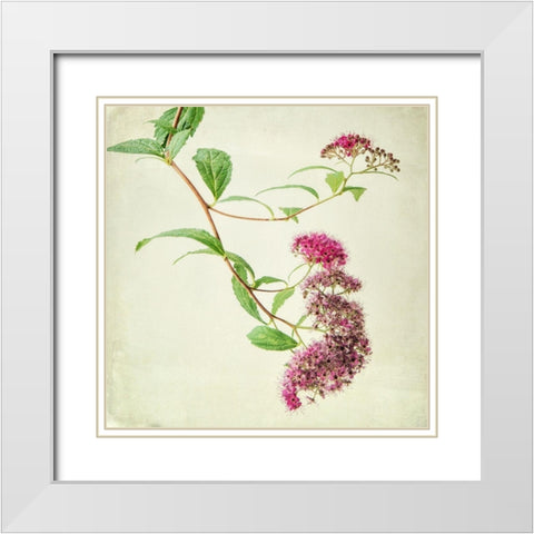 Vintage Pink White Modern Wood Framed Art Print with Double Matting by Poinski, Dianne