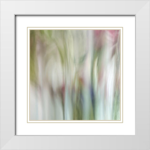 Nature Veiled 1 White Modern Wood Framed Art Print with Double Matting by Poinski, Dianne