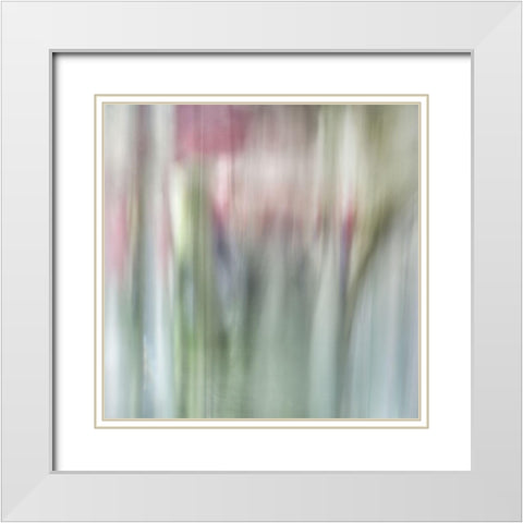 Nature Veiled 2 White Modern Wood Framed Art Print with Double Matting by Poinski, Dianne