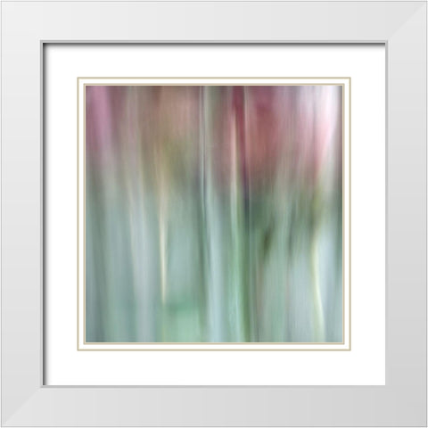 Nature Veiled 3 White Modern Wood Framed Art Print with Double Matting by Poinski, Dianne