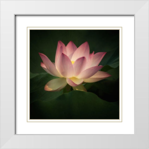 Illumination 2 White Modern Wood Framed Art Print with Double Matting by Poinski, Dianne