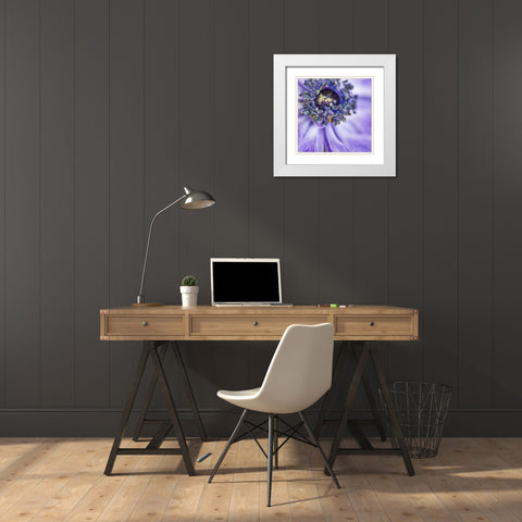 Spring anemone I White Modern Wood Framed Art Print with Double Matting by Poinski, Dianne
