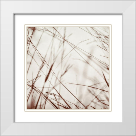 Moody Bluffgrass 2 White Modern Wood Framed Art Print with Double Matting by Poinski, Dianne