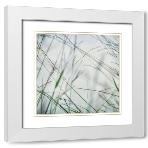 Bluff Grass II White Modern Wood Framed Art Print with Double Matting by Poinski, Dianne