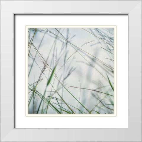 Bluff Grass II White Modern Wood Framed Art Print with Double Matting by Poinski, Dianne