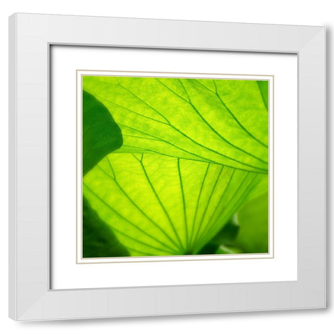 Vivid Green 2 White Modern Wood Framed Art Print with Double Matting by Poinski, Dianne