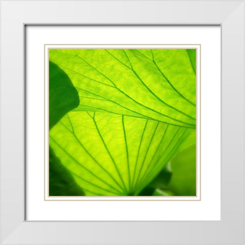 Vivid Green 2 White Modern Wood Framed Art Print with Double Matting by Poinski, Dianne
