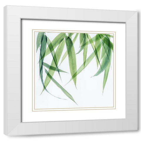 Swaying Bamboo 1 White Modern Wood Framed Art Print with Double Matting by Poinski, Dianne