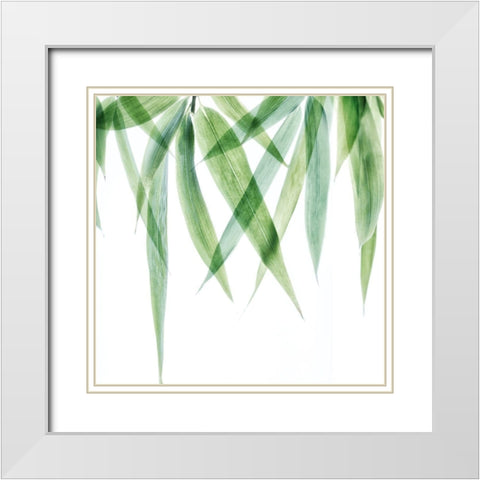Swaying Bamboo 2 White Modern Wood Framed Art Print with Double Matting by Poinski, Dianne