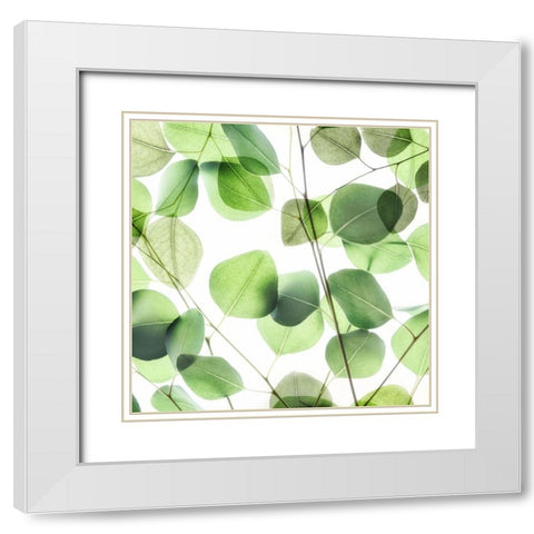 Verdant Leaves 1 White Modern Wood Framed Art Print with Double Matting by Poinski, Dianne
