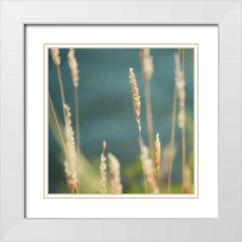 Bountiful Beauty 1 White Modern Wood Framed Art Print with Double Matting by Poinski, Dianne