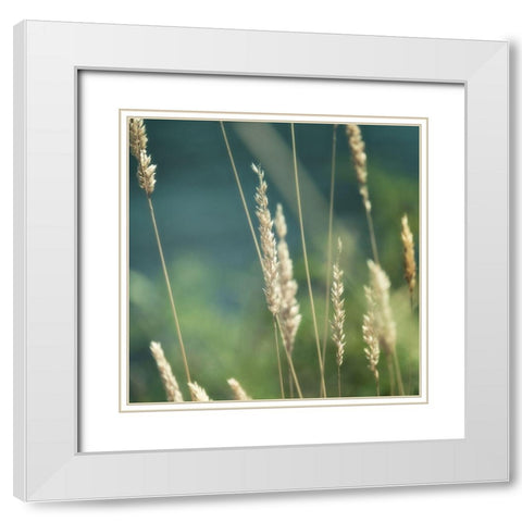 Bountiful Beauty 2 White Modern Wood Framed Art Print with Double Matting by Poinski, Dianne