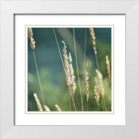 Bountiful Beauty 2 White Modern Wood Framed Art Print with Double Matting by Poinski, Dianne