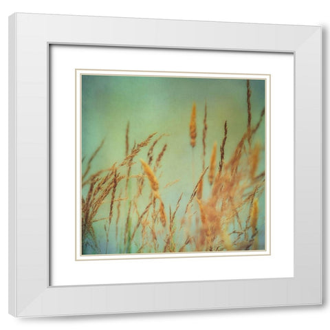 Prairie Grass 1 White Modern Wood Framed Art Print with Double Matting by Poinski, Dianne