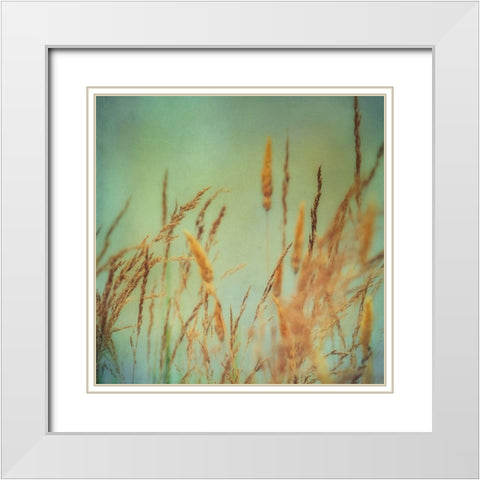 Prairie Grass 1 White Modern Wood Framed Art Print with Double Matting by Poinski, Dianne