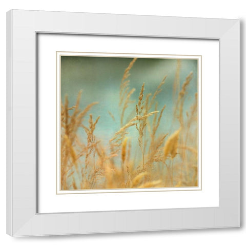 Prairie Grass 2 White Modern Wood Framed Art Print with Double Matting by Poinski, Dianne