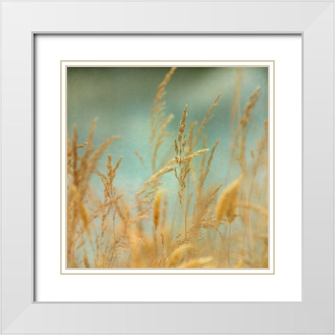 Prairie Grass 2 White Modern Wood Framed Art Print with Double Matting by Poinski, Dianne
